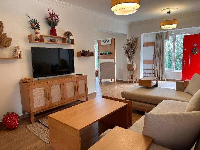 Villa Atlas Muhafazakar Havuzlu, Mustakil Genis Bahceli Sapanca Exterior photo